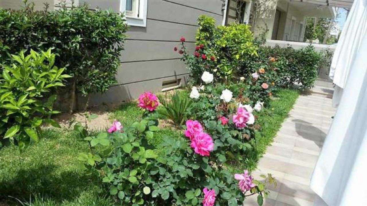Maria'S Rose Garden Apartment Lefkada City Exterior photo